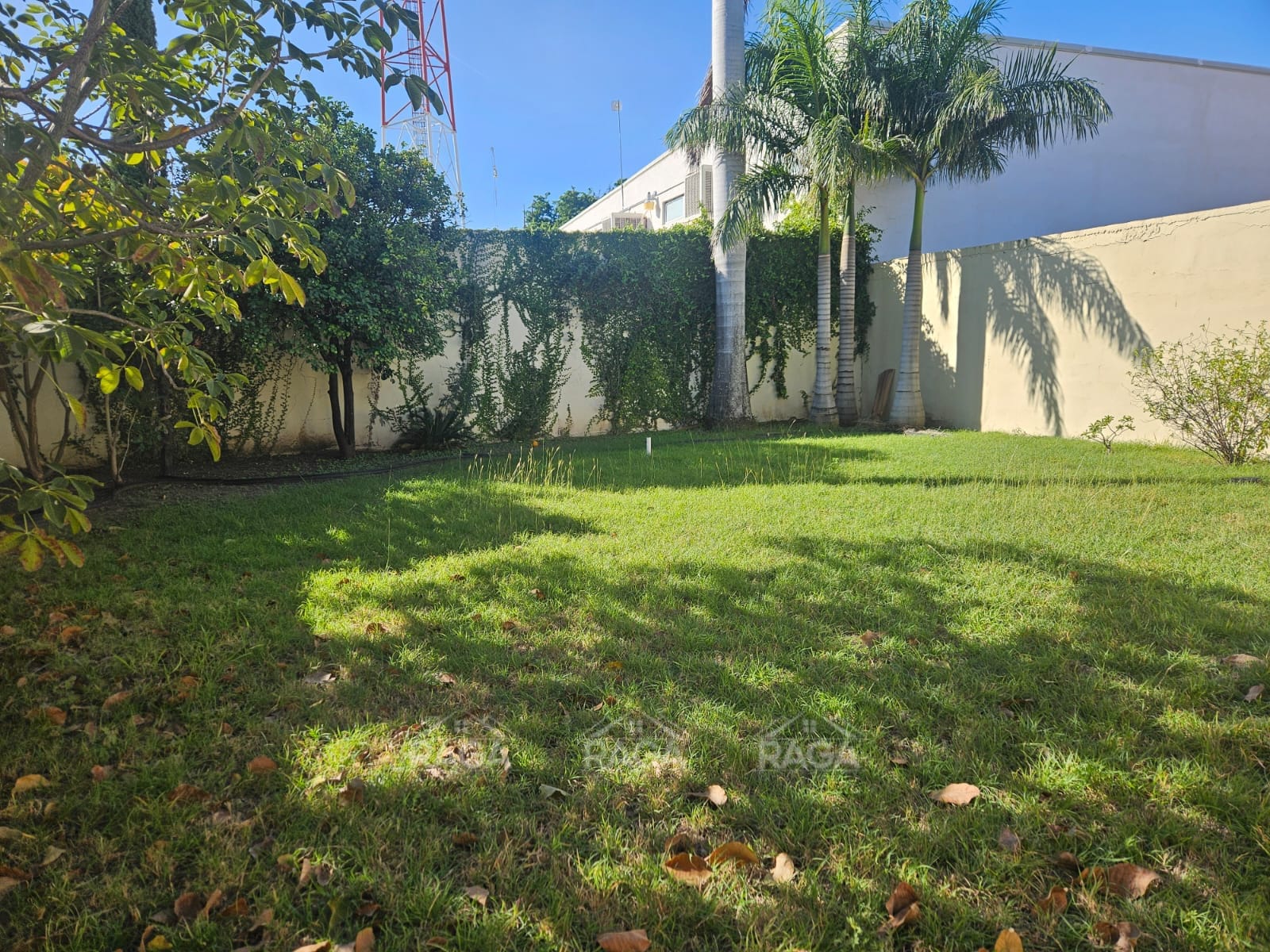 WhatsApp Image 2025-12-04 at 14.41.54 (5)