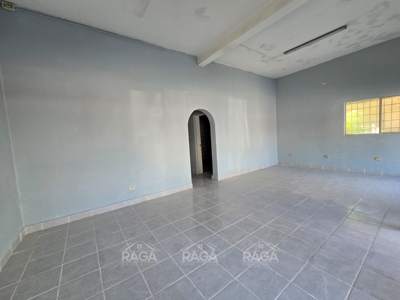 WhatsApp Image 2026-03-20 at 2.48.16 PM