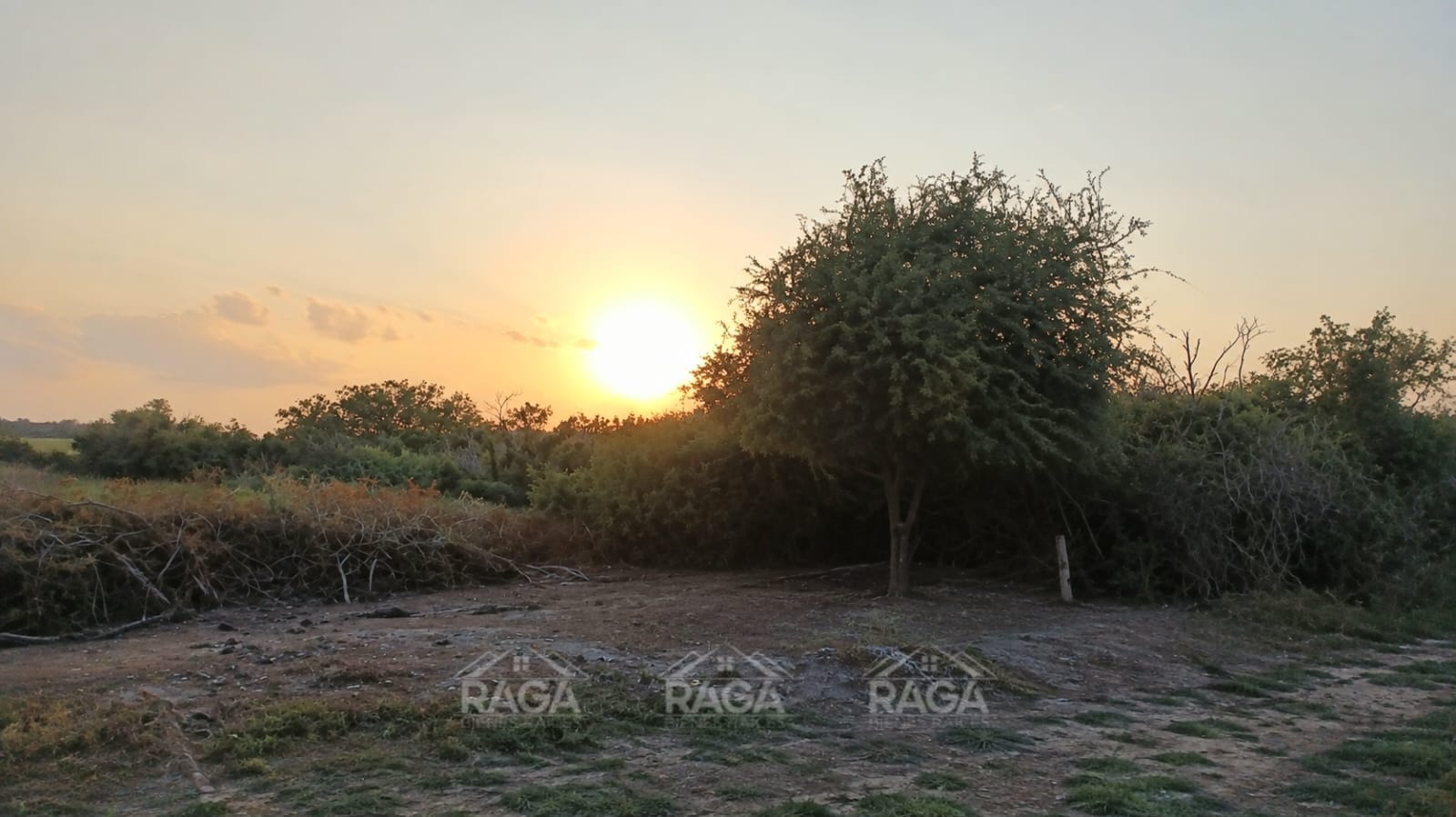 OPORTUNIDAD DE INVERSIÓN TERRENO EN LA PESCA, TAMAULIPAS - Imagen 2