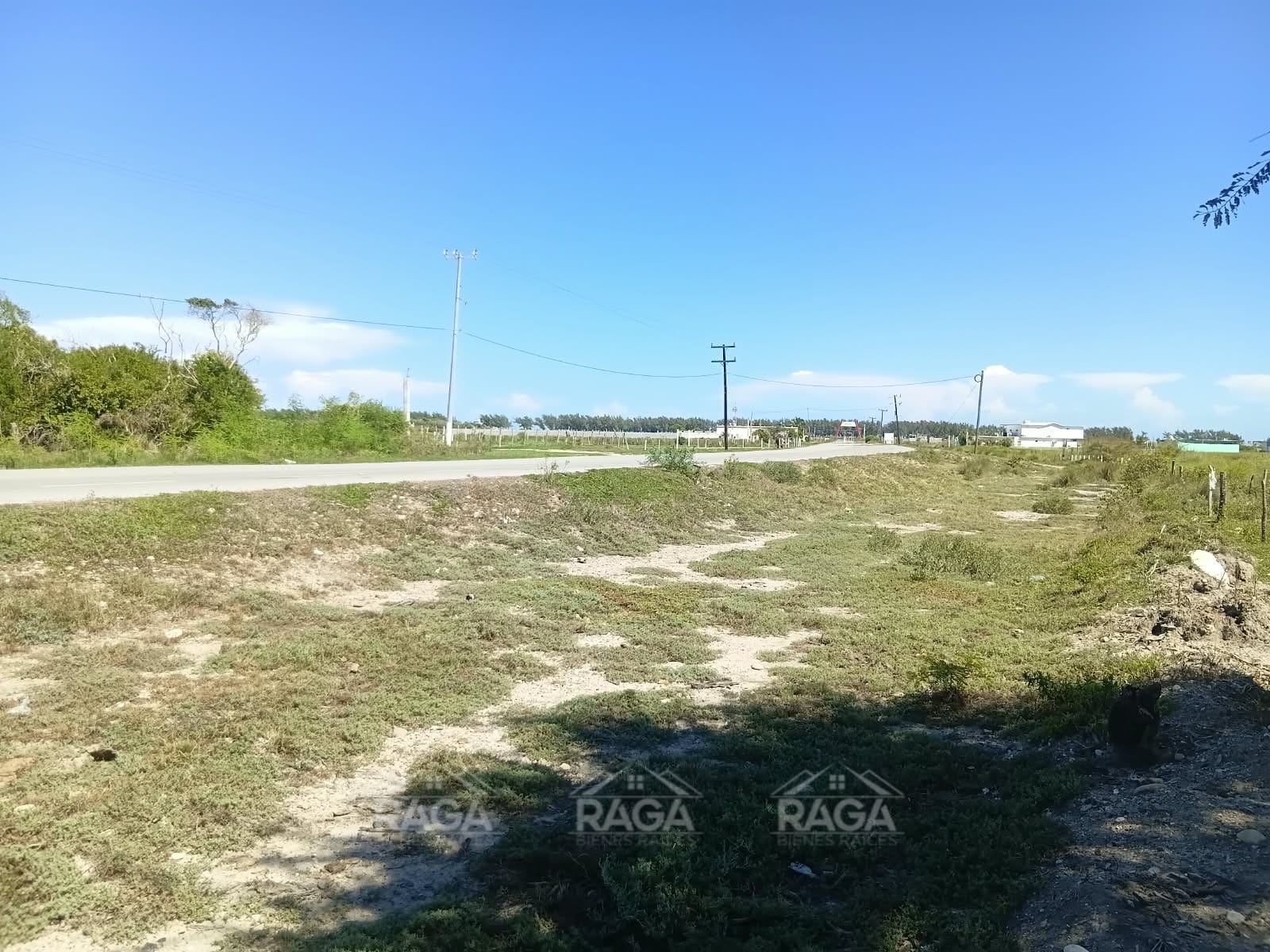 OPORTUNIDAD DE INVERSIÓN TERRENO EN LA PESCA, TAMAULIPAS - Imagen 3