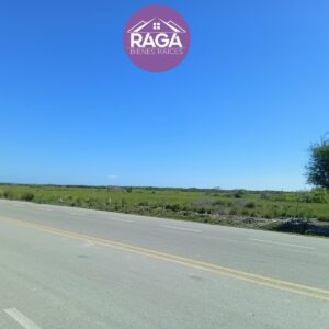 OPORTUNIDAD DE INVERSIÓN TERRENO EN LA PESCA, TAMAULIPAS