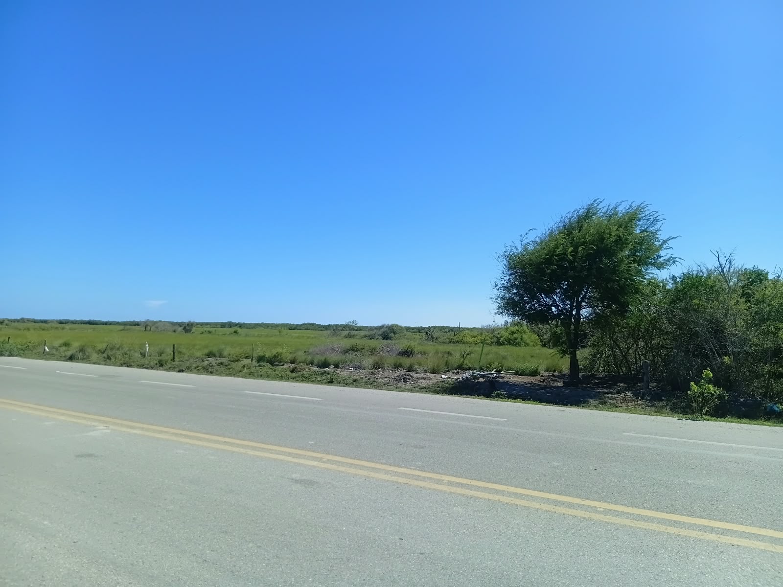 OPORTUNIDAD DE INVERSIÓN TERRENO EN LA PESCA, TAMAULIPAS - Imagen 4