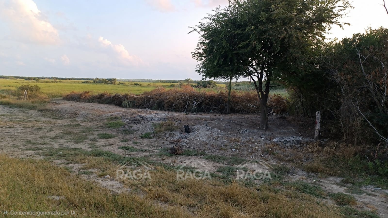 OPORTUNIDAD DE INVERSIÓN TERRENO EN LA PESCA, TAMAULIPAS - Imagen 5