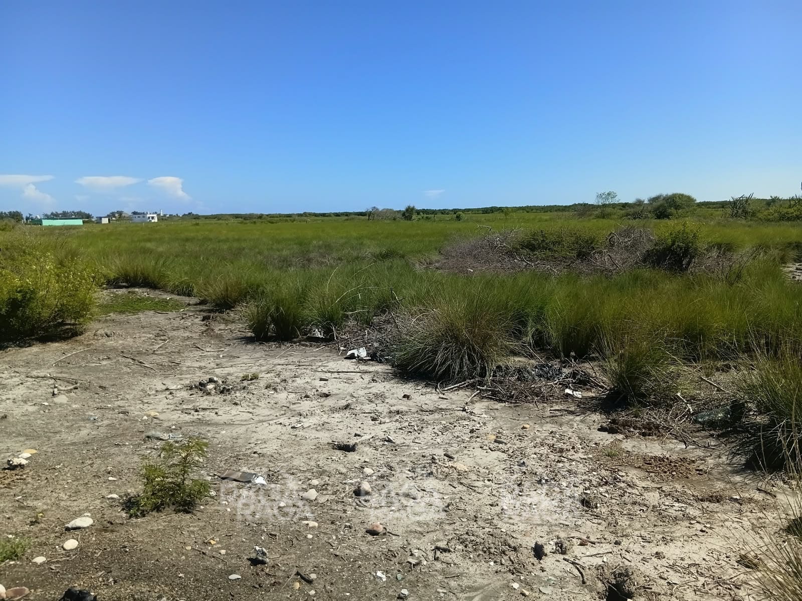 OPORTUNIDAD DE INVERSIÓN TERRENO EN LA PESCA, TAMAULIPAS - Imagen 6