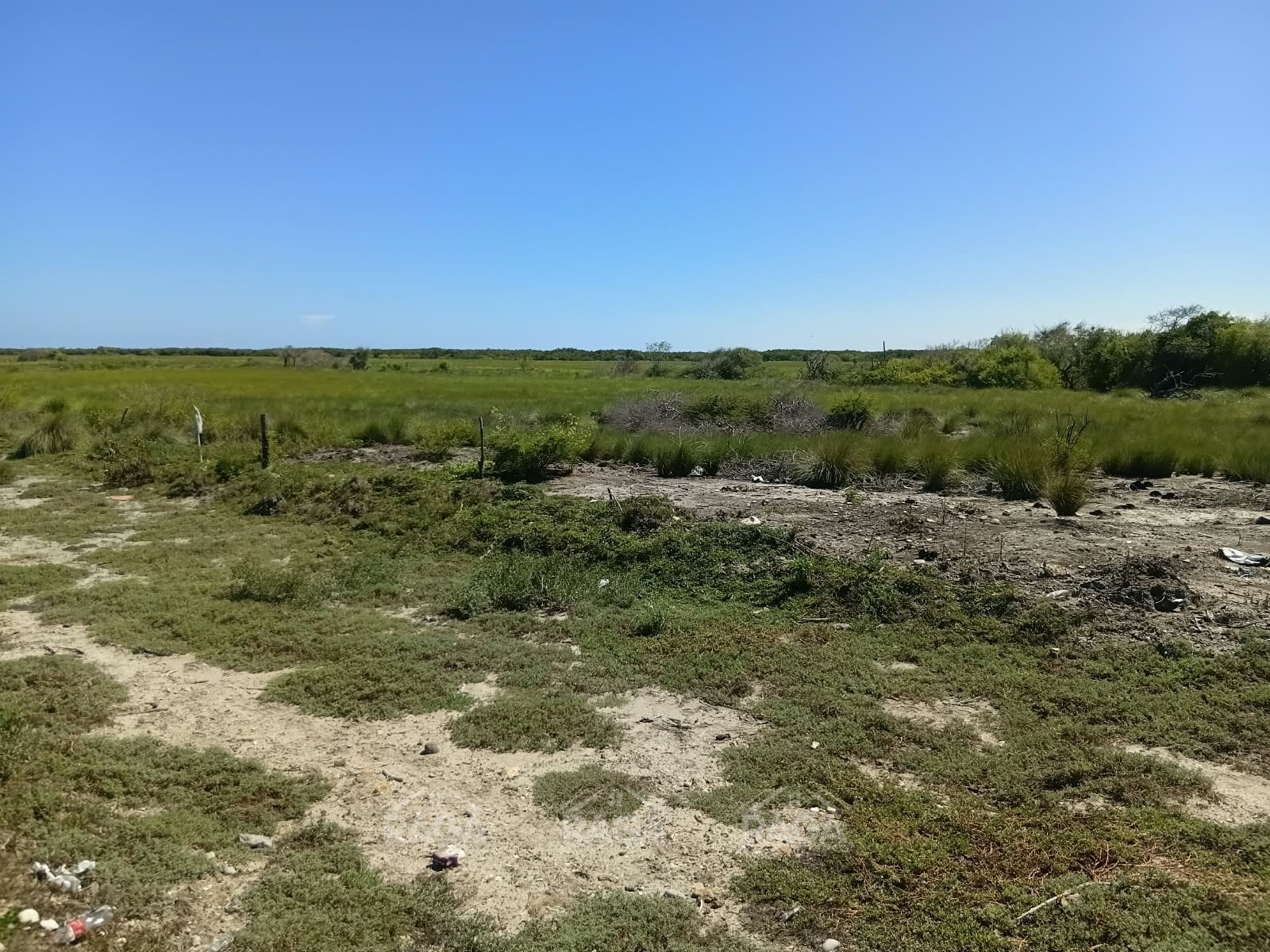 OPORTUNIDAD DE INVERSIÓN TERRENO EN LA PESCA, TAMAULIPAS - Imagen 7
